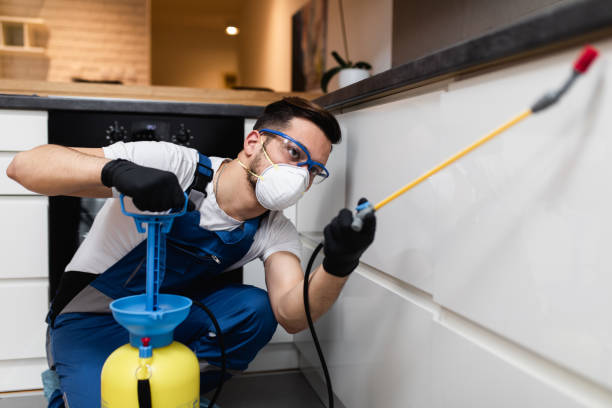 Best Pest Removal Services  in Middleport, NY