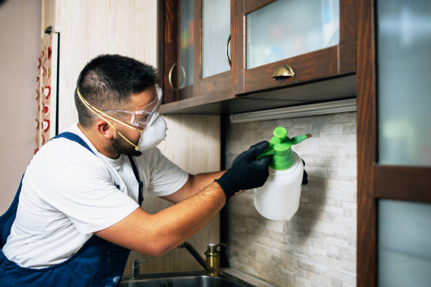 Best Commercial Pest Control Services  in Middleport, NY